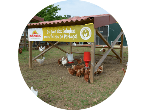 granja da CAC
