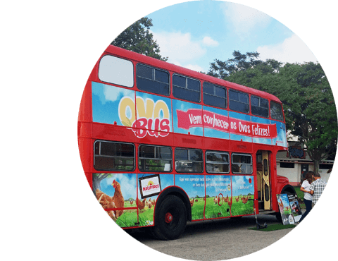 ovobus Matinados