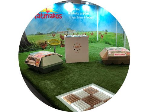 Agrobraga satnd Matinados